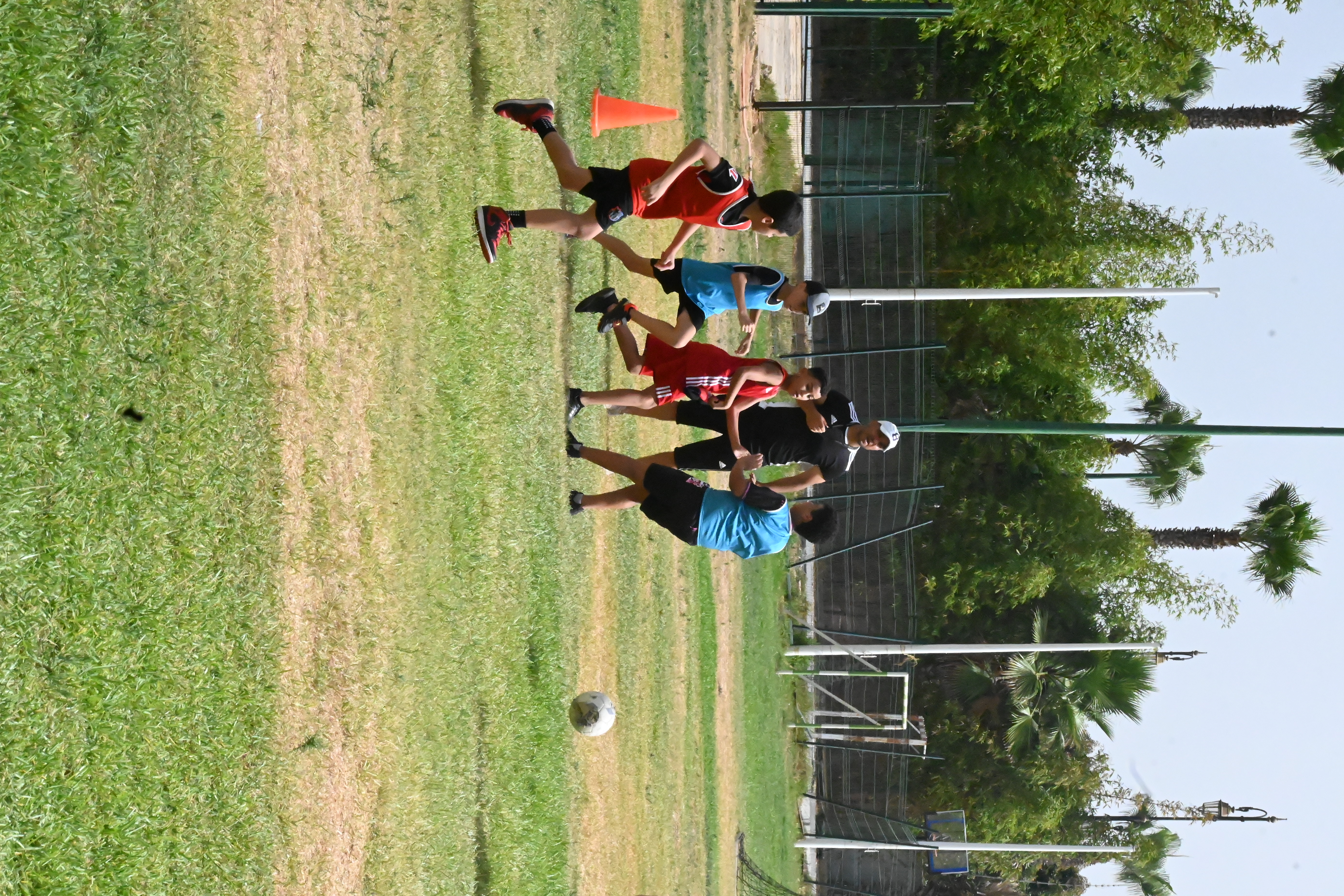 Sport et mouvement sur le terrain
